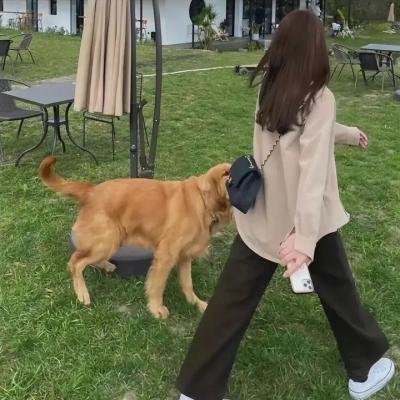 新选组之死