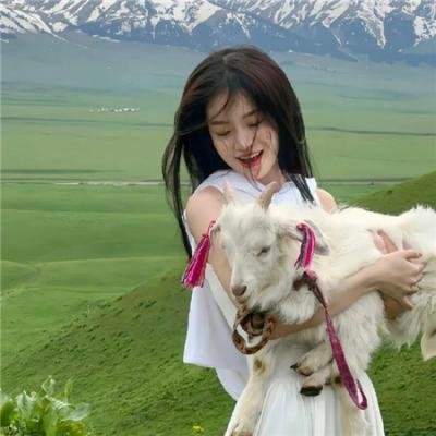 西杜夫人调查实录